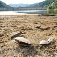 41.2度の衝撃！兵庫・丹波市の熱中症問題とは？