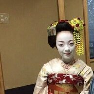 舞妓制度の闇を暴く：国連への訴えとその影響