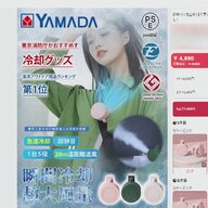 世界最小エアコンの実態：専門家の警告を受け止めよう