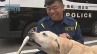 警察犬の英雄物語：行方不明の11歳男児を発見！