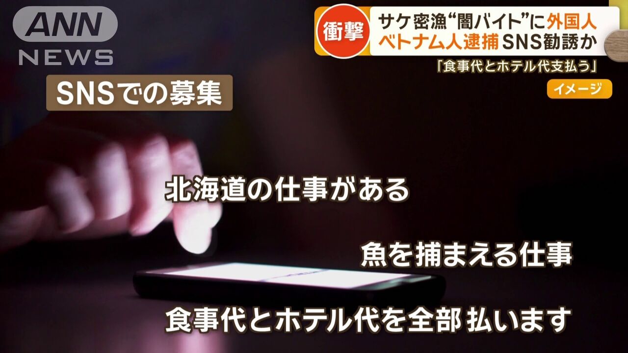 北海道のサケ密漁事件：SNSで広がる闇バイトの実態