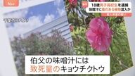 男子高校生、伯父に毒入り味噌汁を！？事件の詳細と背景を探る