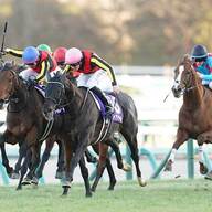 高騰する馬券にネットが悲鳴！有馬記念の現状とは