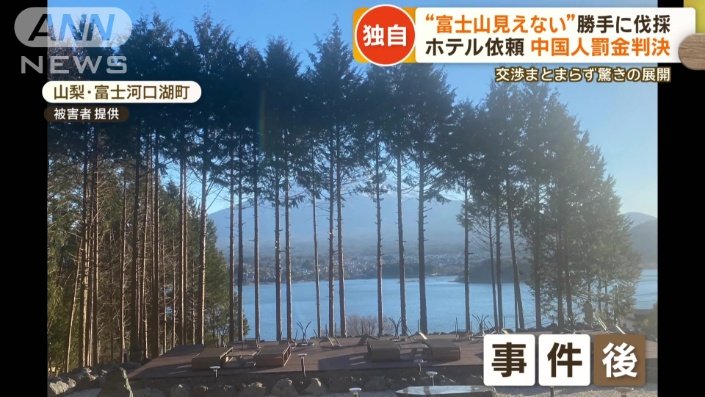 中国人経営ホテルの伐採依頼とは？罰金30万円の真相を探る