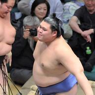 大の里、13連勝で横綱昇進へ！その全貌と魅力