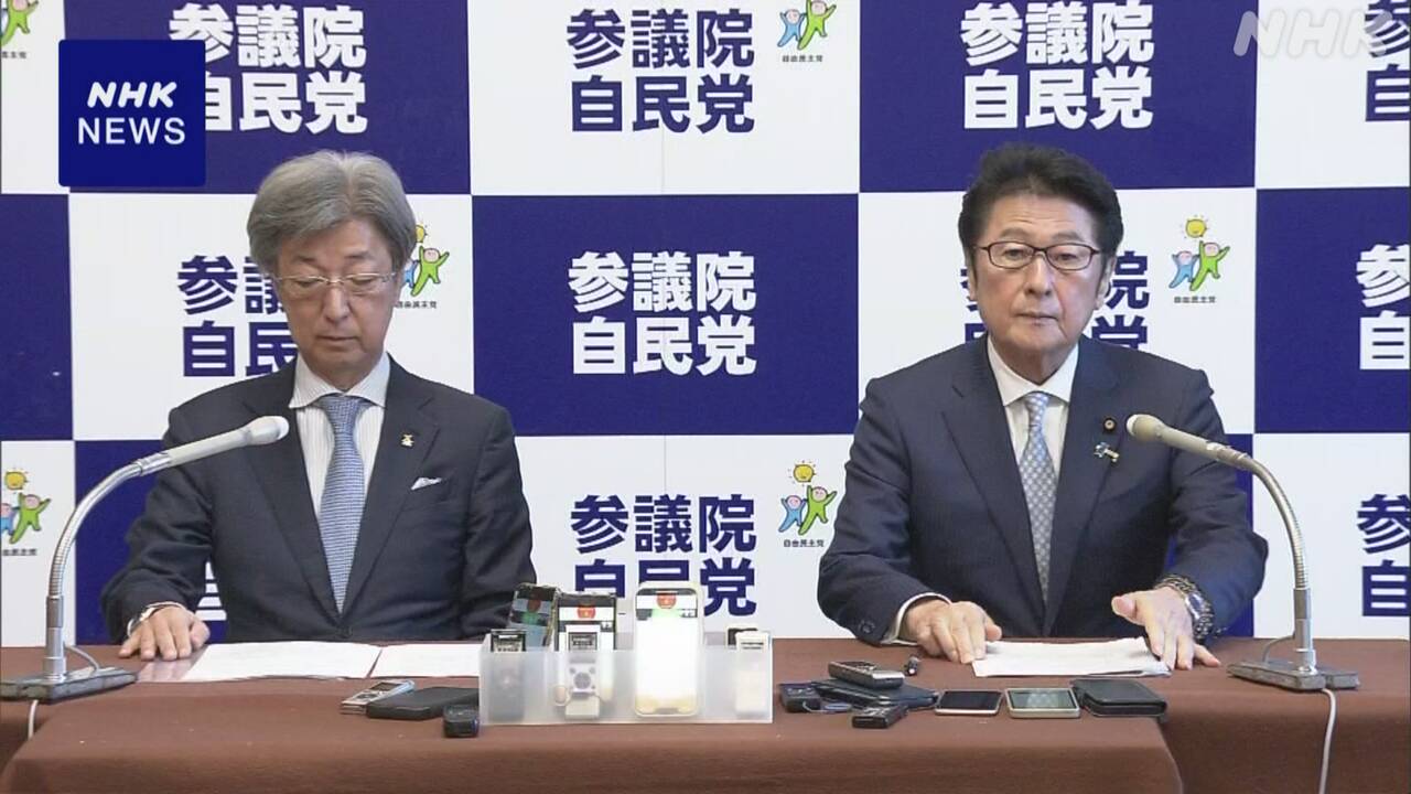 自民党松山参院幹事長が語るガソリン暫定税率廃止の必要性