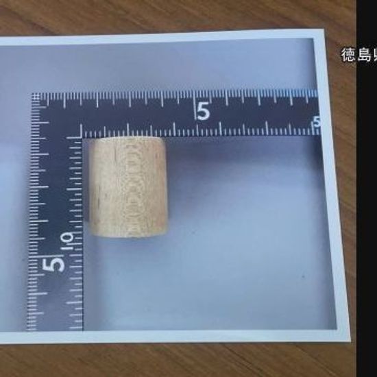1歳男児の命を脅かした積み木事故：園長の責任を問い直す