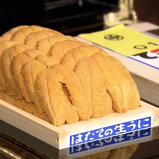 一番ウニの魅力とは？40万円で堪能した贅沢体験