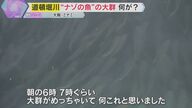 大阪・道頓堀川の“ナゾの魚”大発生！驚きの光景に迫る