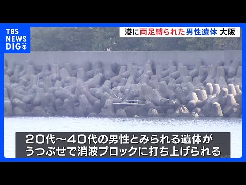 衝撃の真実！貝塚市の海岸での男性遺体発見事件の詳細とその背景