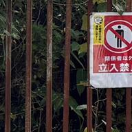 肝試しで見つけた1億円、沖縄中高生の衝撃事態