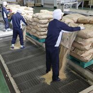 備蓄米が消える理由と政府の愚策：コメの価格は本当に下がるのか？