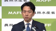 備蓄米の行方：小泉農水相が明らかにした新たな放出計画
