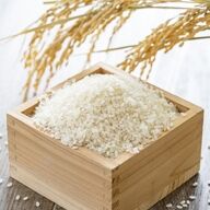 「売るコメがない」米屋の再生への道：廃業増加の背景を探る