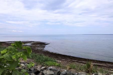 サーフィンと医療の融合：沖縄から考える新しいキャリアの形
