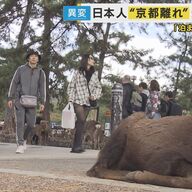 奈良も夜7時には人がいない？観光地の変貌とその背景