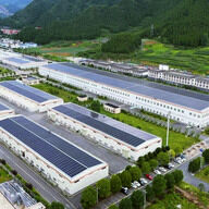 抹茶ブームに乗った中国の貴州省