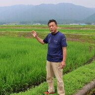 備蓄米の価格問題と減反政策の影響