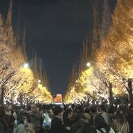 神宮外苑の紅葉危険行為まとめ！観光客のマナーは？