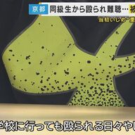 いじめの深刻さを考える：難聴になった男子児童のケース