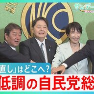 自民党総裁選の現在：外国人に関する発信とその影響