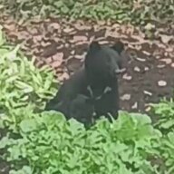 命がけの日当9000円、ハンターたちの現実