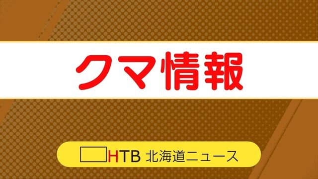 冬眠しないクマ？増毛町で発見された雪上の足跡の謎