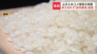 コメの価格高騰が生んだ波紋：札幌卸売業者の破産を追う