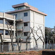 満開の桜、なぜ伐採？北九州市の教訓と住民の声