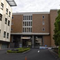 飲酒運転の恐怖：19歳中国籍男性の逆走事故の真相