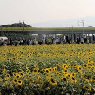 撮り鉄の迷惑行為が引き起こすトラブルと対策