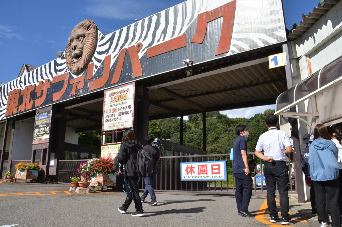 「東北サファリパーク」飼育員の悲劇：ライオン襲撃事件の真相とは