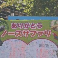 ノースサファリサッポロ閉園の真相と動物たちの行く先