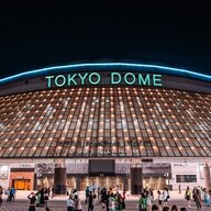 ライブでの楽しみ方：迷惑行為との境界線を探る