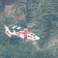 ヒグマ襲撃事件の真相：餌付け疑惑と登山の危険性