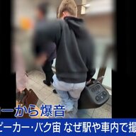 日本での外国人による迷惑行為、何がしたい？