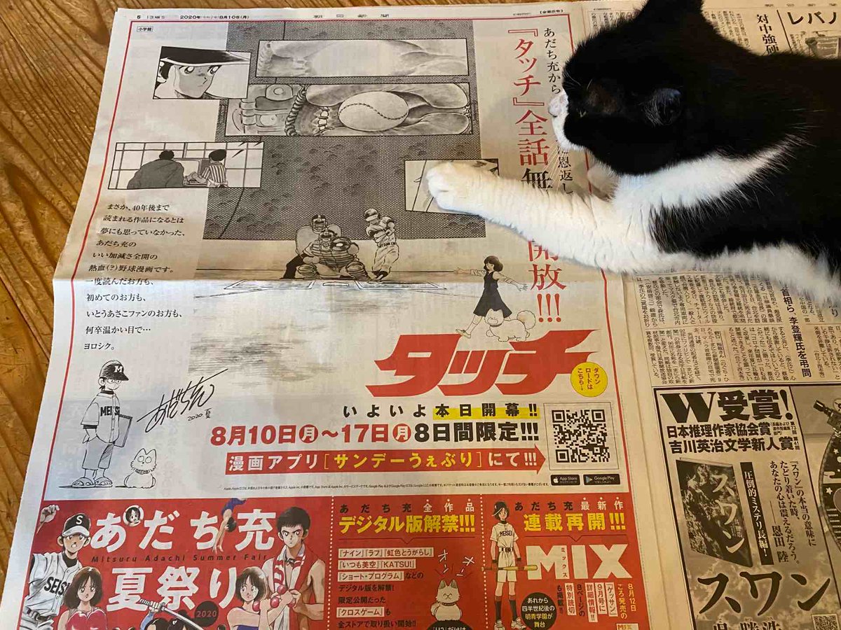 漫画 タッチ 全257話が無料開放 あだち充作品の全てがデジタル版解禁 News Rambling