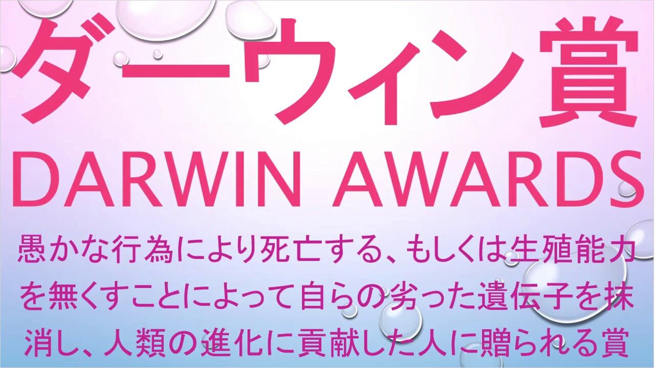 賞 ダーウィン