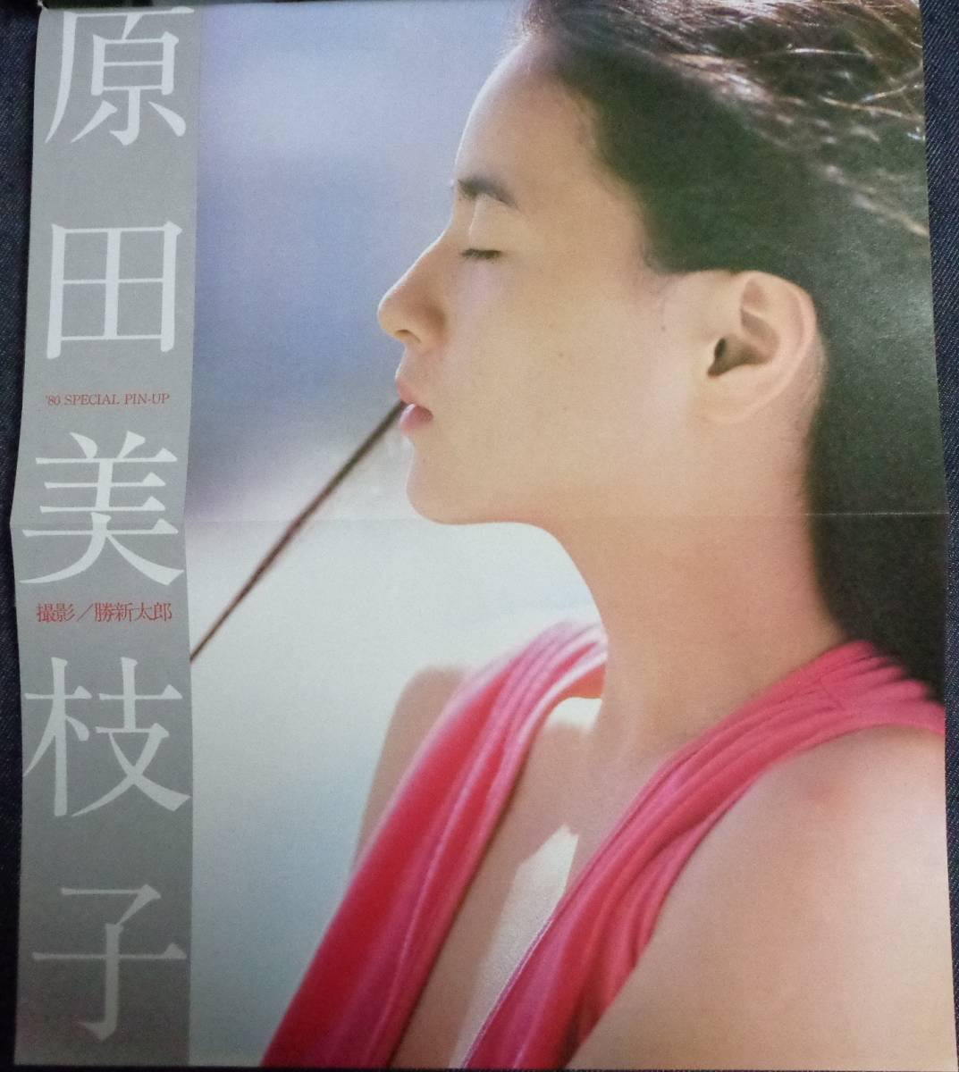 原田 美枝子 若い 頃 原田美枝子の娘や息子も芸能人 若い頃の画像や初映画監督の作品とは 徹子の部屋 原田 美枝子 若い 頃 原田美枝子の娘や息子も芸能人 若い頃の画像や初映画監督の作品とは 徹子の部屋