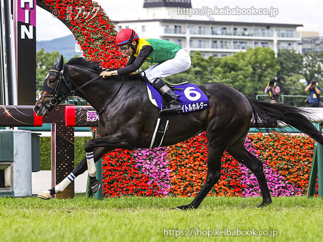 ニュースまとめちゃんねる早分かり速報『競馬 宝塚記念』についてコメントする