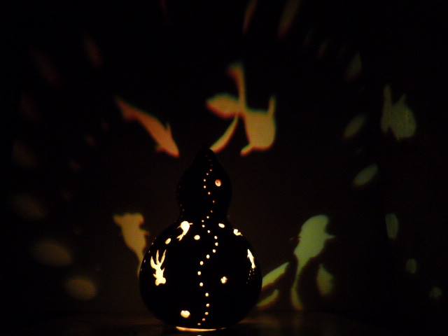 kabukin12_kingyotohasu