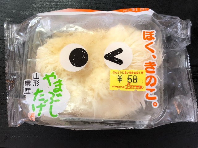 タワシかよ 信じられない形状の茸 ヤマブシタケ Newsact タワシかよ 信じられない形状の茸 ヤマブシタケ Newsact