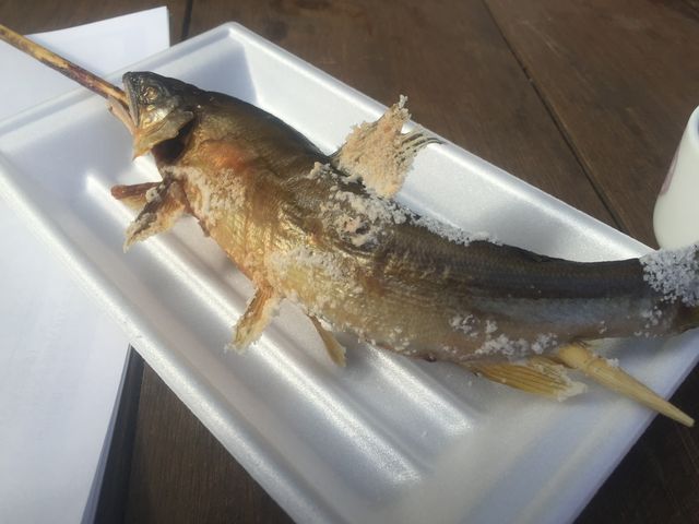 鮎は塩焼きだけじゃない 干した鮎 のポテンシャルがすごい Newsact 鮎は塩焼きだけじゃない 干した鮎 のポテンシャルがすごい Newsact