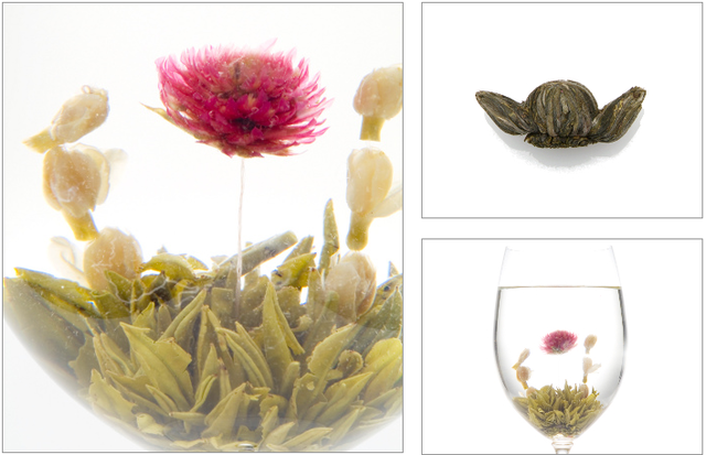 スクリーンショット 2019-02-13 11.39.19