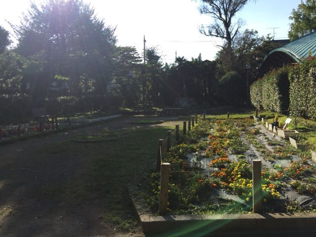 2015-10-18-14-44-15