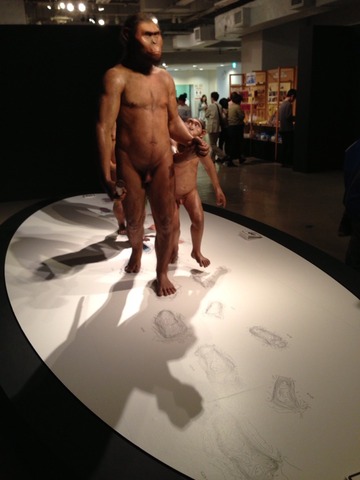 画像19