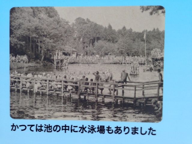 画像15