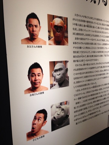 画像17