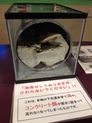画像14