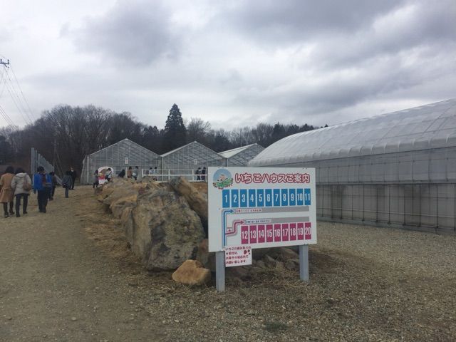 2017-04-01-14-37-44